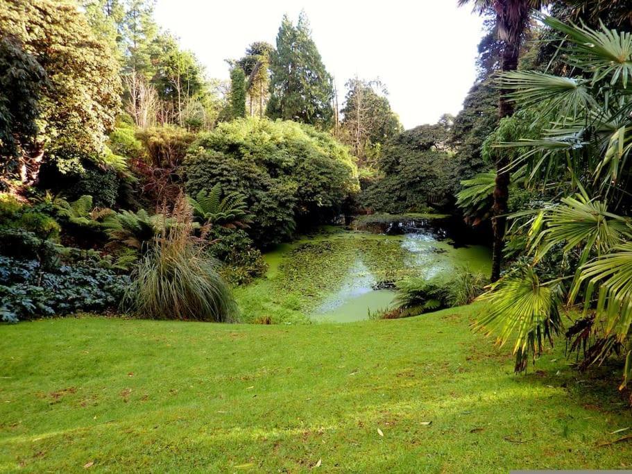 White Eden - Explore Cornwall From A Comfy Central Appartment St Austell Ngoại thất bức ảnh